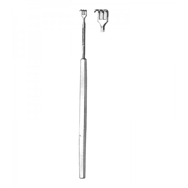 LIP & CHEEK RETRACTORS