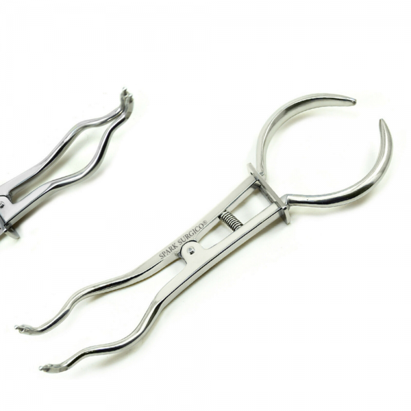 Rubber Dam Brewer Forceps